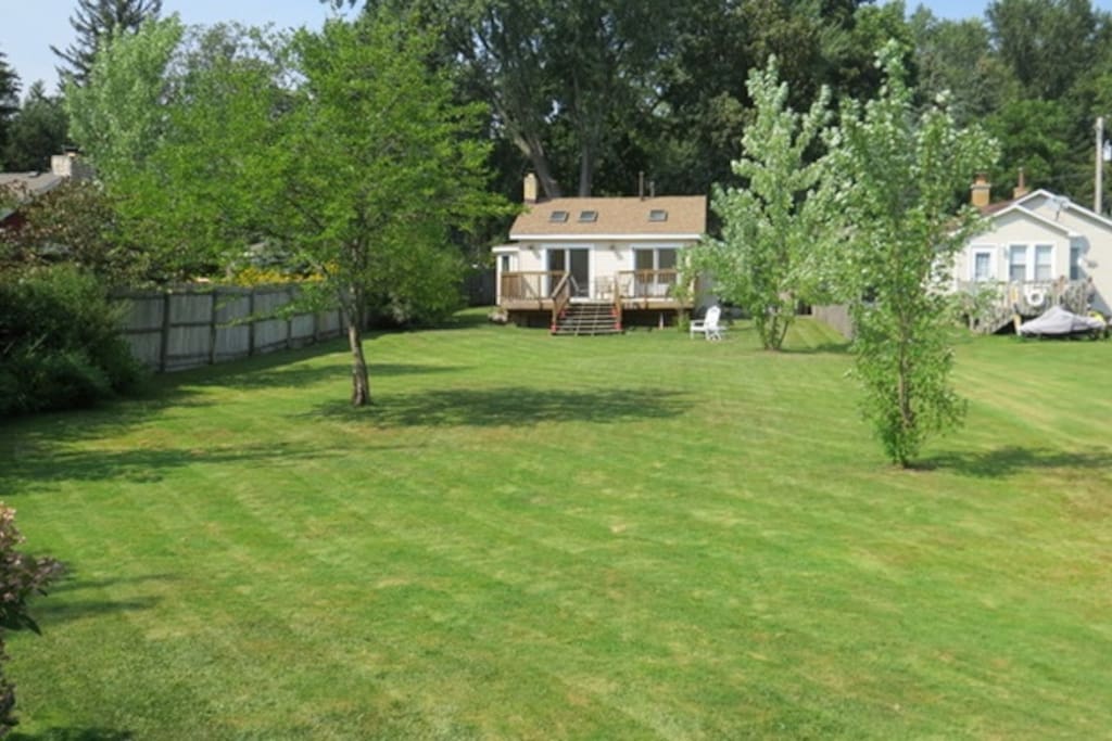large yard for lots of fun