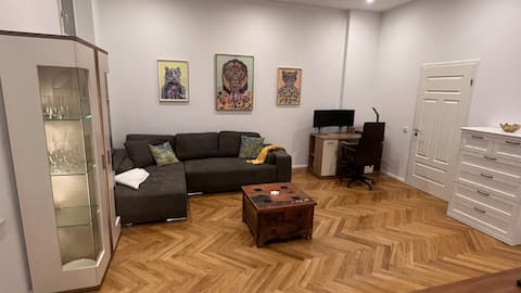 Exclusive old building apartment with workspace WE5