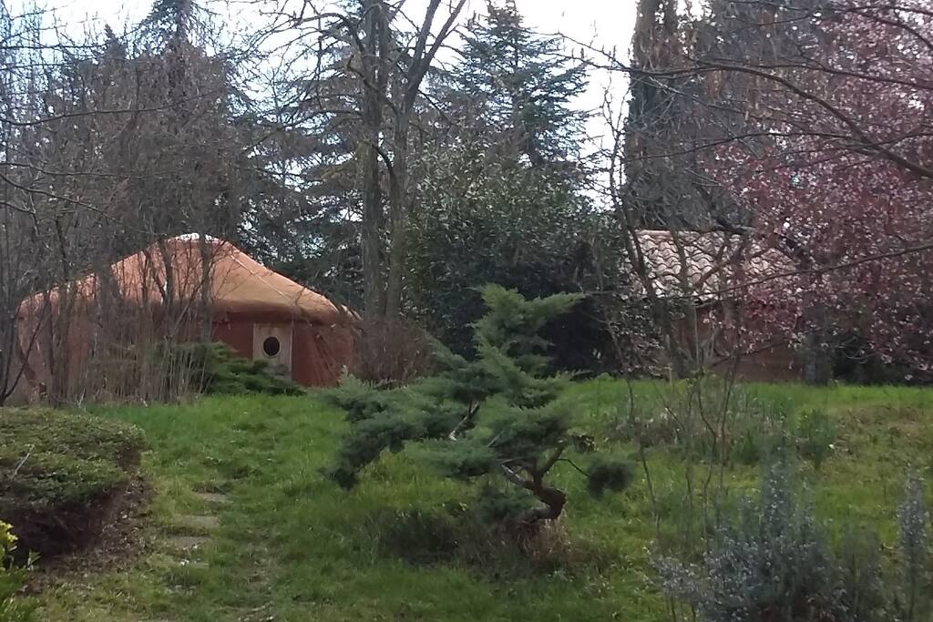 yourte et chalet en bois