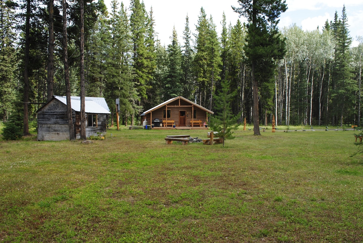 Two log cabins are set within a spacious green meadow surrounded by tall trees. The larger cabin features a welcoming porch and is complemented by an outdoor fire pit area with benches for relaxation. A sense of tranquility is conveyed through the natural setting.