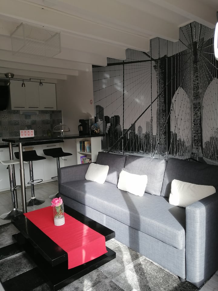 Indépendance Confortable Et Chaleureuse - Dammarie-les-Lys