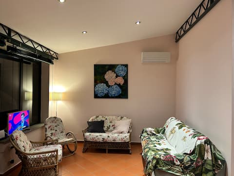 Top performing Airbnb: Street RosaCenterSorrentoCoast enchanted garden in Piano Di Sorrento