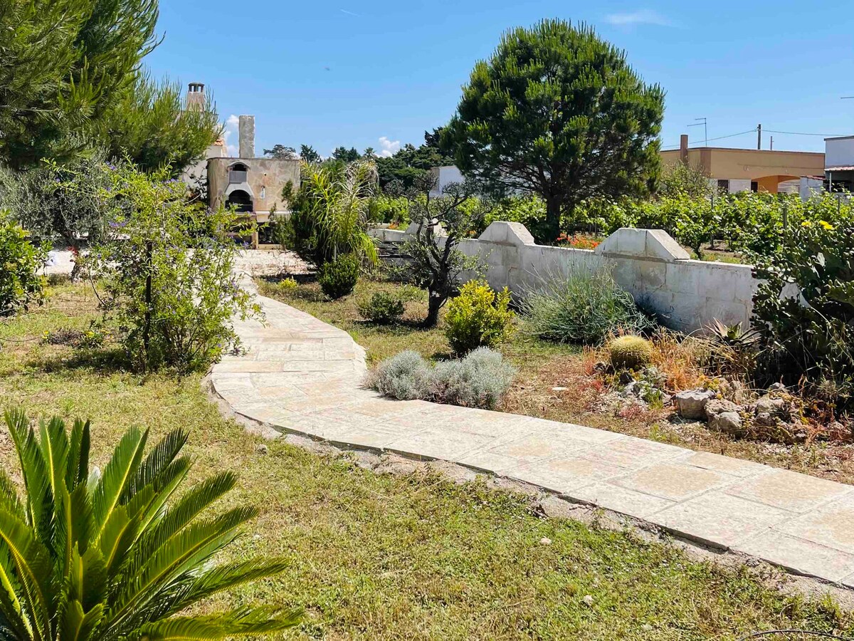 A well-maintained garden pathway meanders through lush greenery, leading to a stone barbecue area surrounded by fragrant plants. The space is illuminated by bright sunlight, highlighting various shrubs and trees against a clear blue sky.