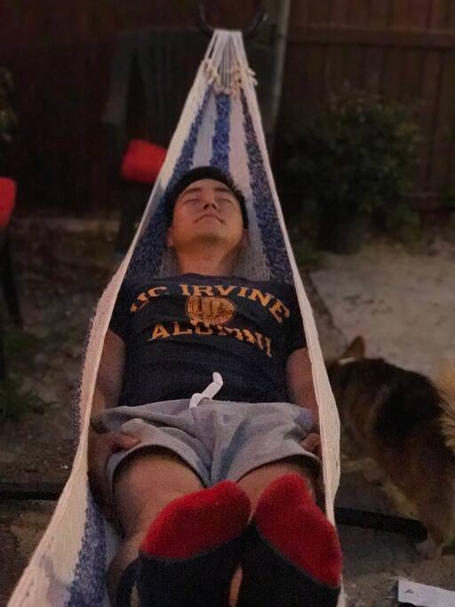 Hammock in the backyard