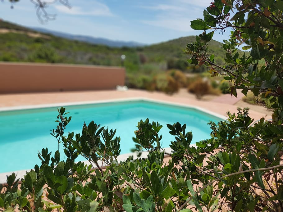 Shared swimming pool