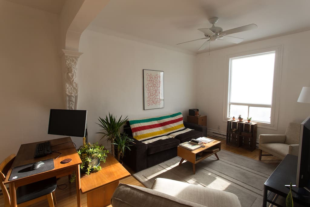 Bright, Cozy Living Room / Work Space