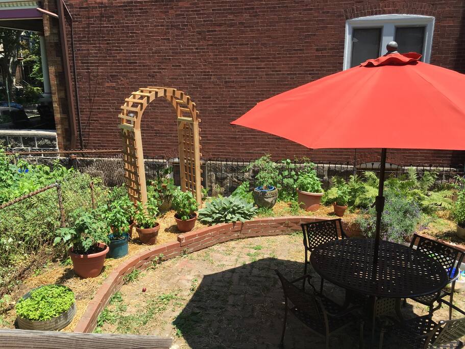 Back patio/garden with new gas BBQ