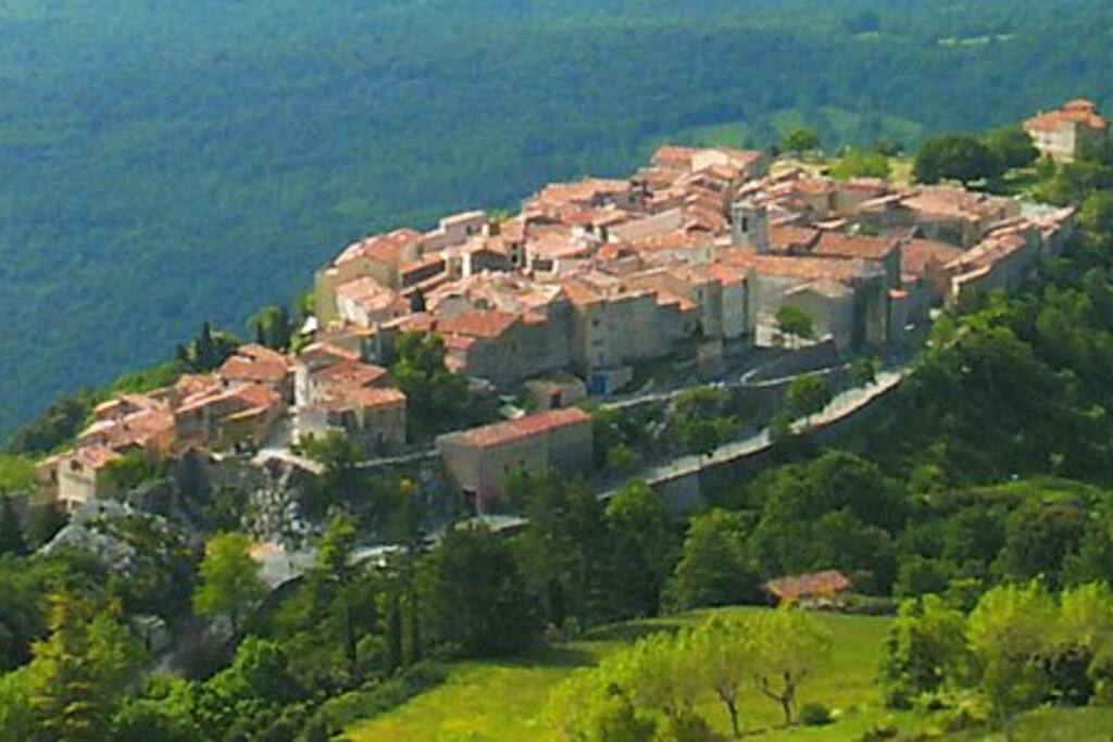 Visite du Pays de Fayence et ses 9 villages perchés