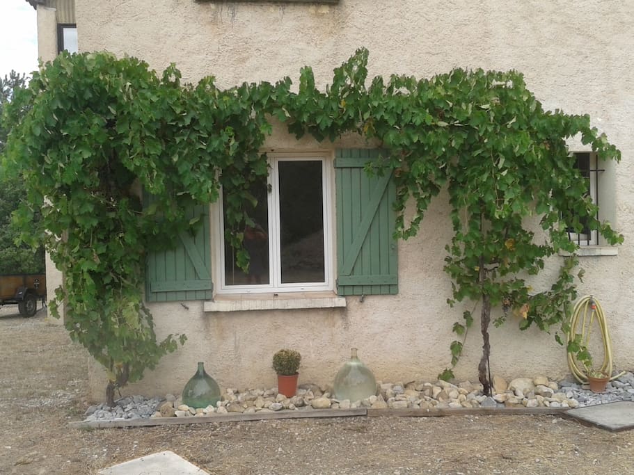 Bedroom window