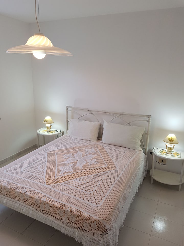 Apartment only 100 m from the sea Apartments for Rent in Mirto