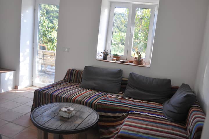 غرفة معيشة مع طاولة من الخشب العائم