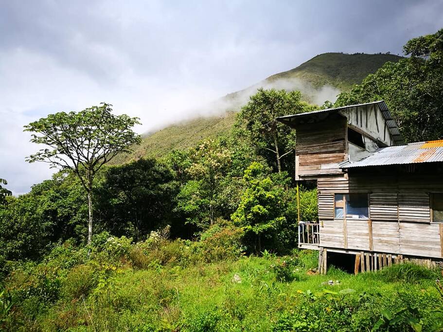 Refugio II