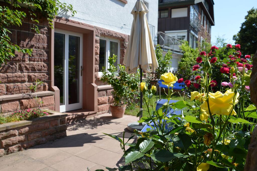 Terrasse mit Freisitz neben Rosen, Kiwi und Zitronenbaum