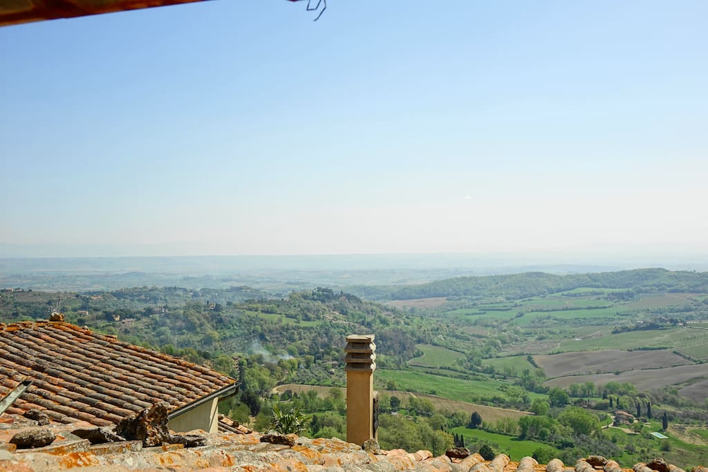 The view from the kitchen
