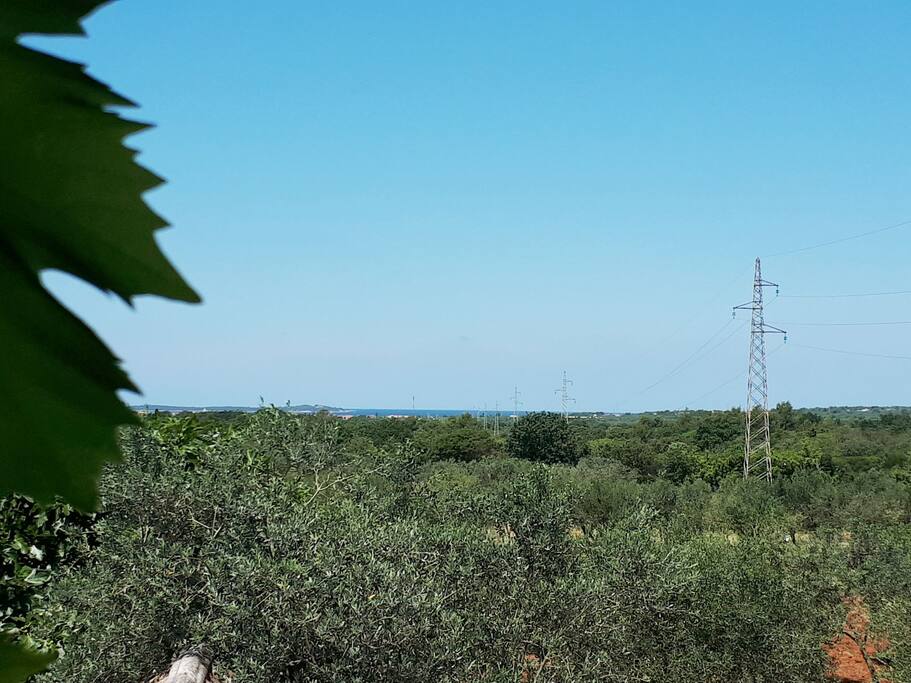 Apartment Anavi with garden and sea view