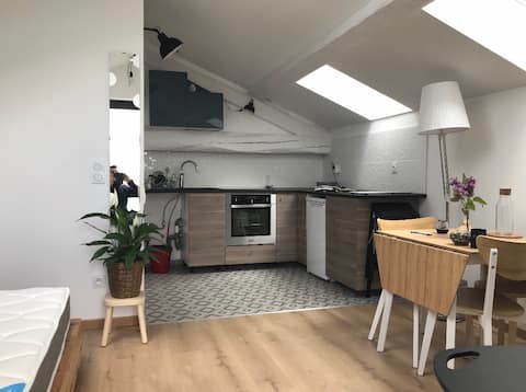 Studio/30mnLyon/10mnStEx/10mnStade OL/20mnEurexpo