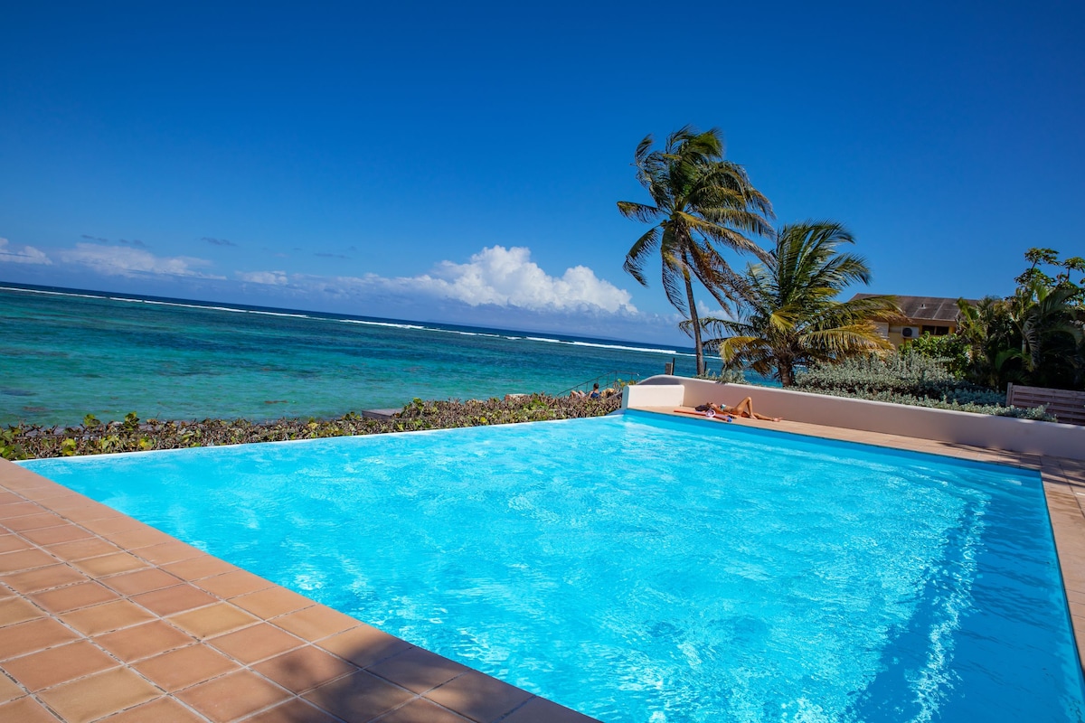 A well-maintained infinity pool is set against a backdrop of the sea, featuring clear blue water that reflects the sky. Tropical palm trees gently sway nearby, adding to the serene coastal ambiance.