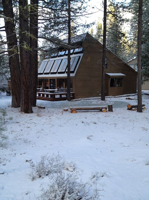 Back Yard in Snow