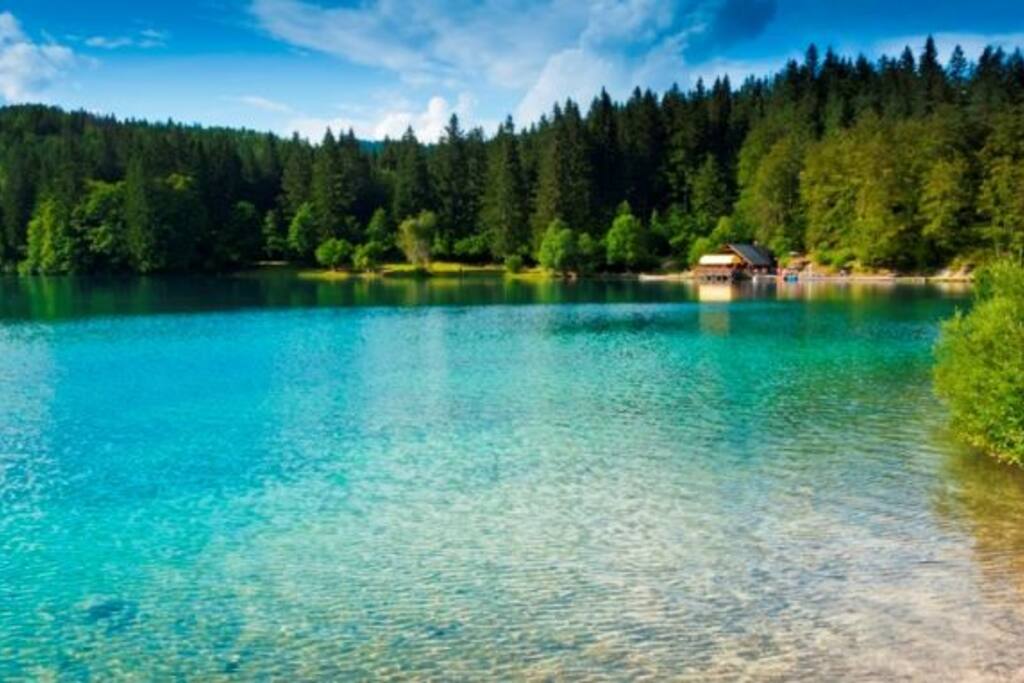 i dintorni di Tarvisio d'estate