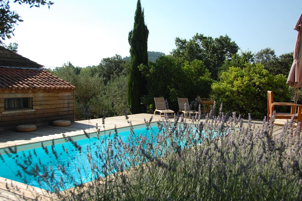 piscine et terrasse