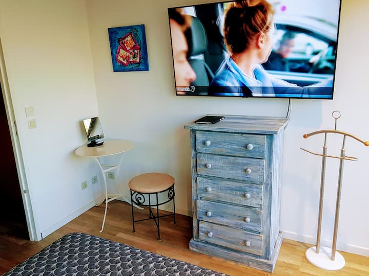 ᲝთახშიTeleviser 55 "    პარიკმახერი შუქდიოდური სარკით