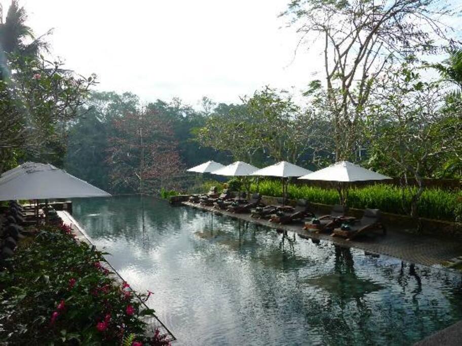 Outdoor public pool