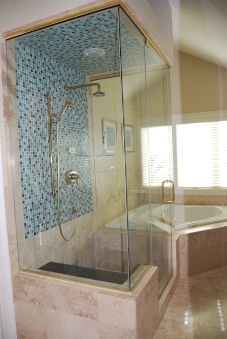 Master Shower