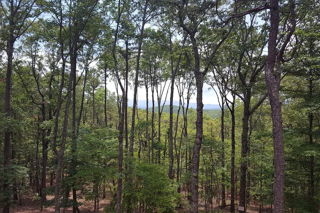 Beautiful long range mountain views