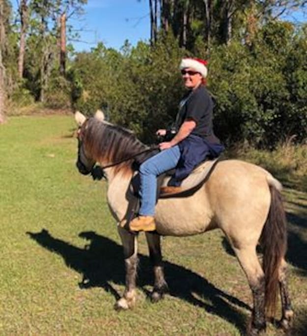 Inquire about booking a trail ride.