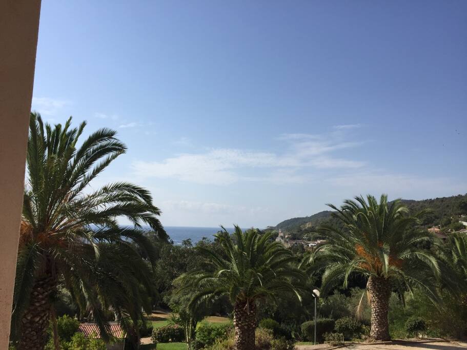 Vue sur le parc arboré et la piscine