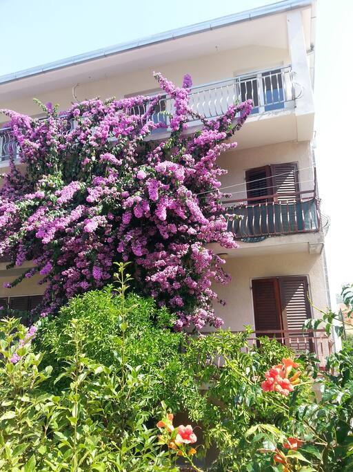 The facade of the house with bogumvilom