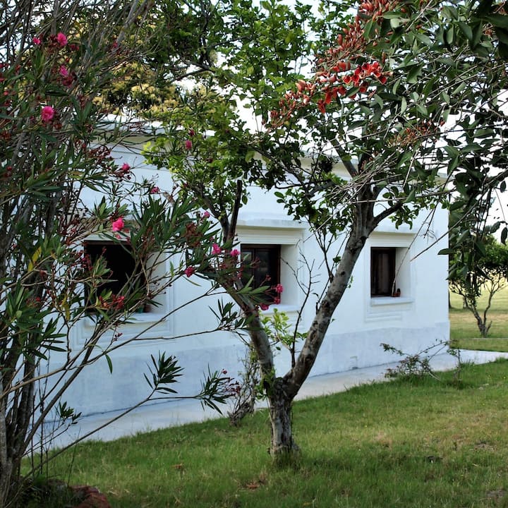 Florida Alojamientos vacacionales - Florida Department, Uruguay | Airbnb Florida Alojamientos vacacionales - Florida Department, Uruguay | Airbnb