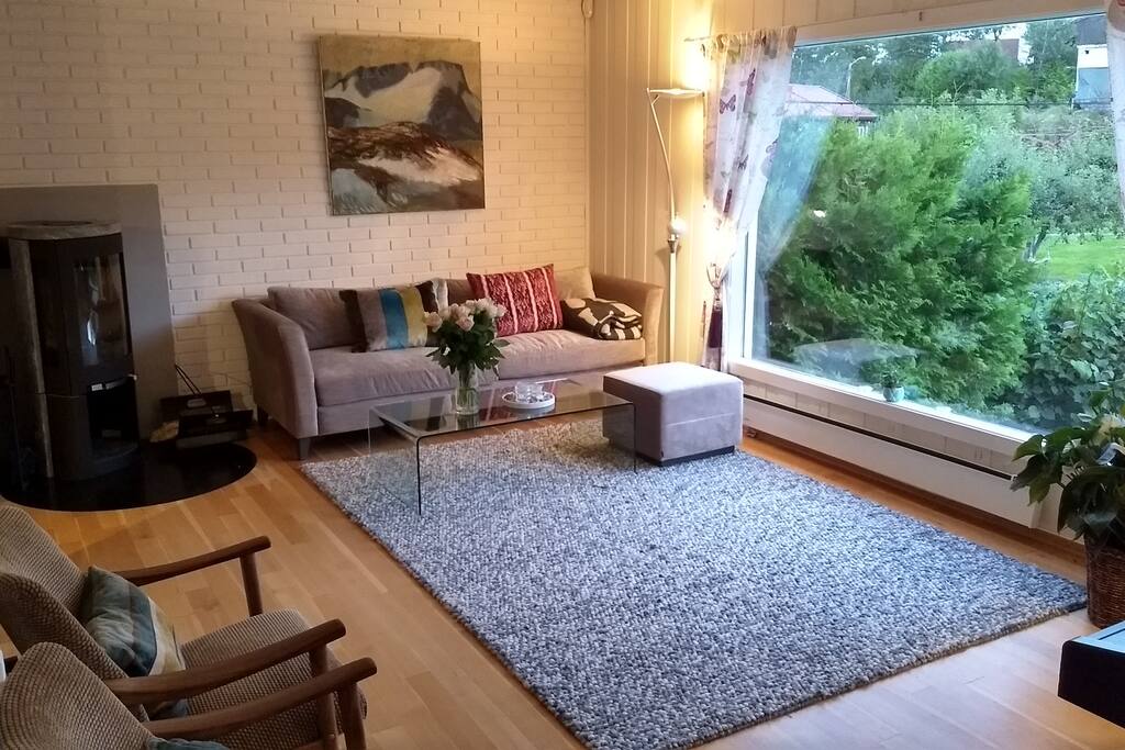 Living room with fire place.