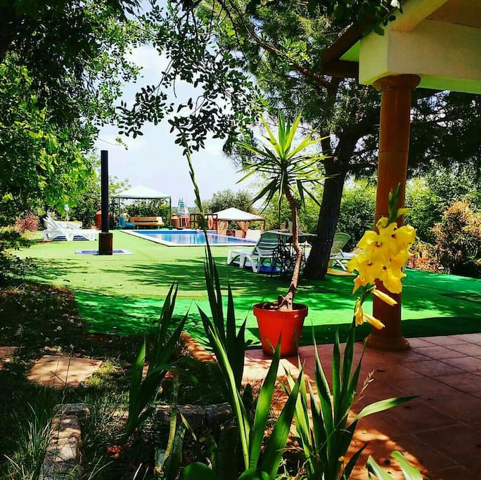 Garden and pool area
