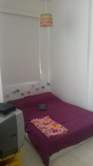 Quarto.
