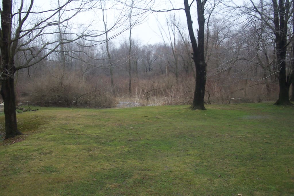 Side yard leads to the creek