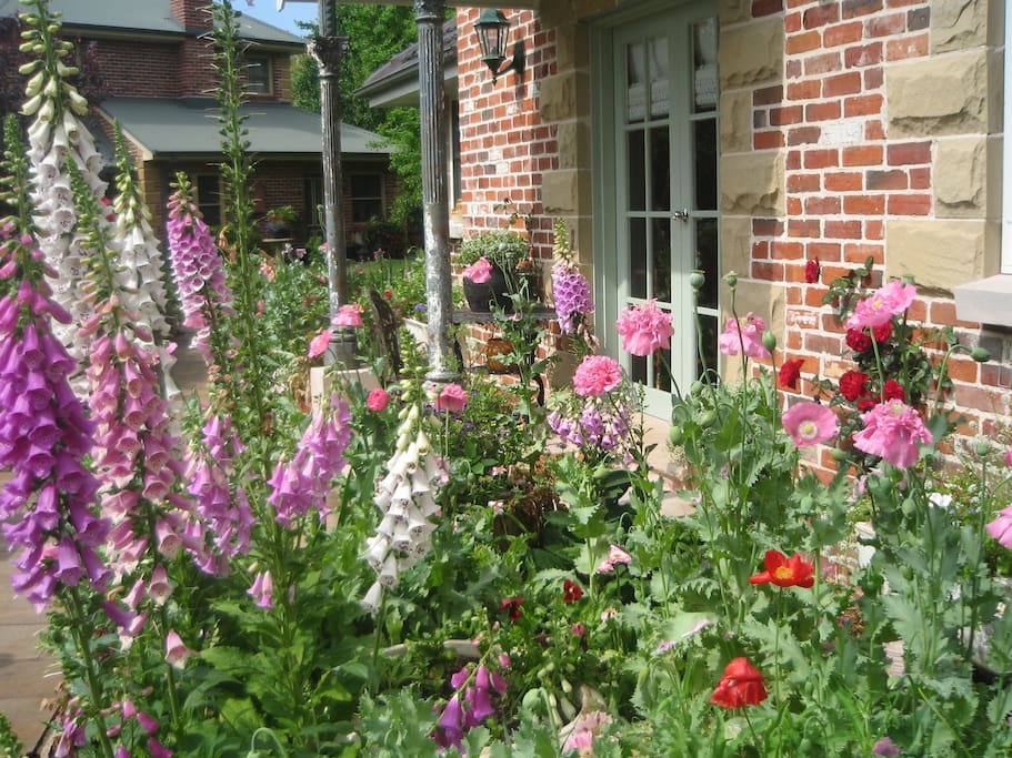 Annie's cottage spring 2016.
Just gorgeous .