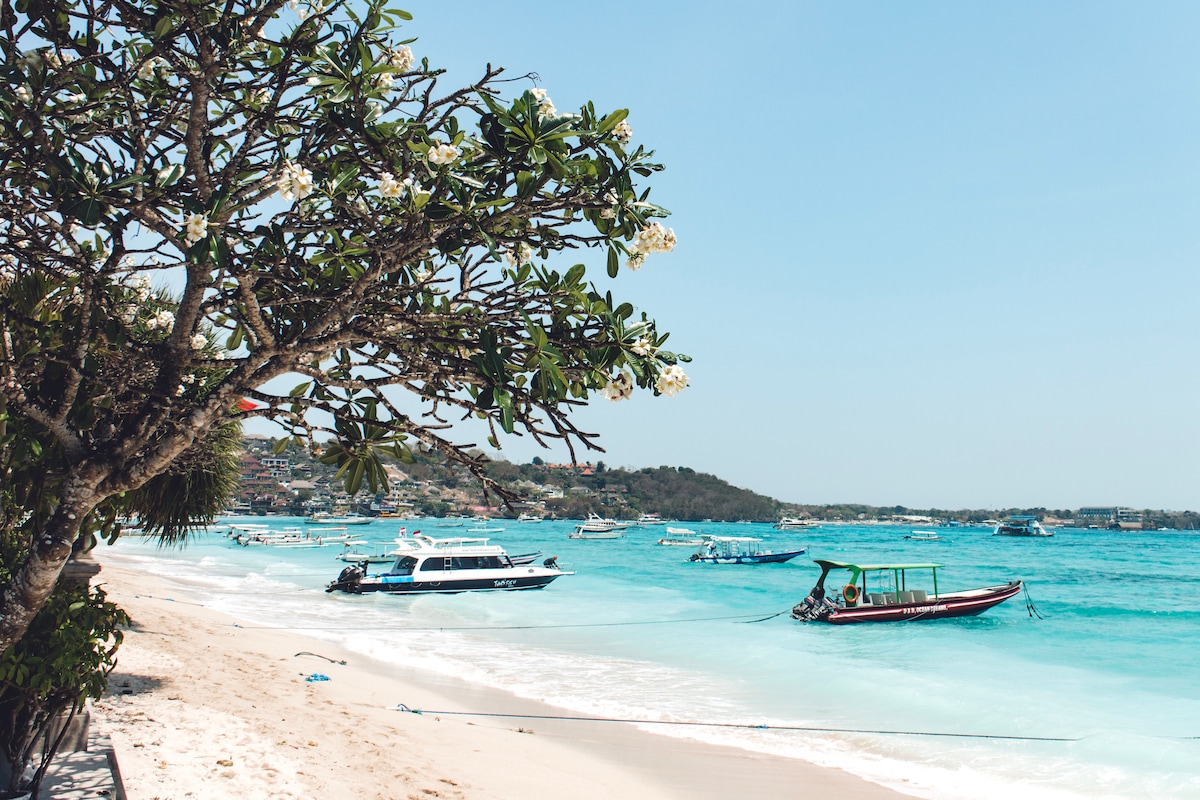 Gentle waves lap against the shore, where several boats are anchored in clear turquoise waters. A lush tree with blooming white flowers provides shade, while a sandy beach stretches into the distance, enhancing the calm coastal scenery.