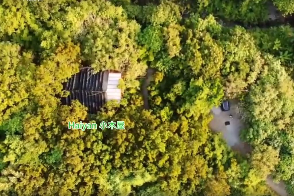 Haiyan in the forest