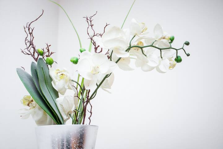 Charming Apartment Brussels City gallery image 2