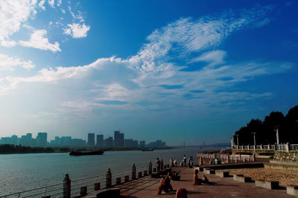 楼下风景