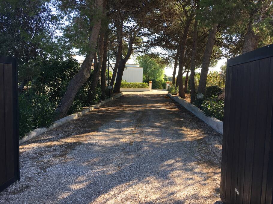 VIALE INGRESSO