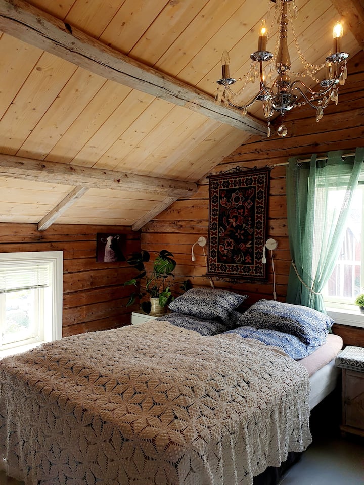 Lofti i djalit. Ja një krevat shtesë. Hapësirë për 3 persona këtu.