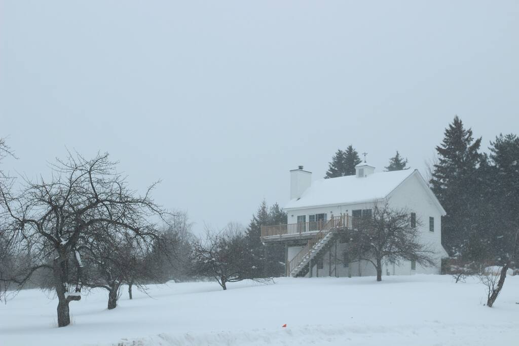 Gorgeous in the winter too