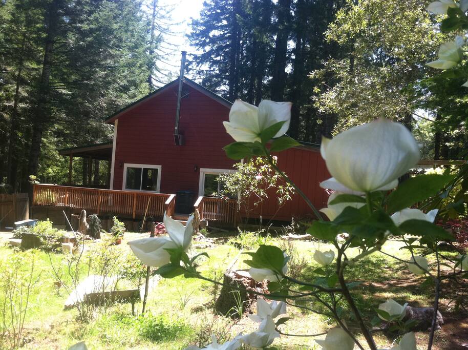 Great side yard with picnic table and beautiful plantings. Great sun in this spot.