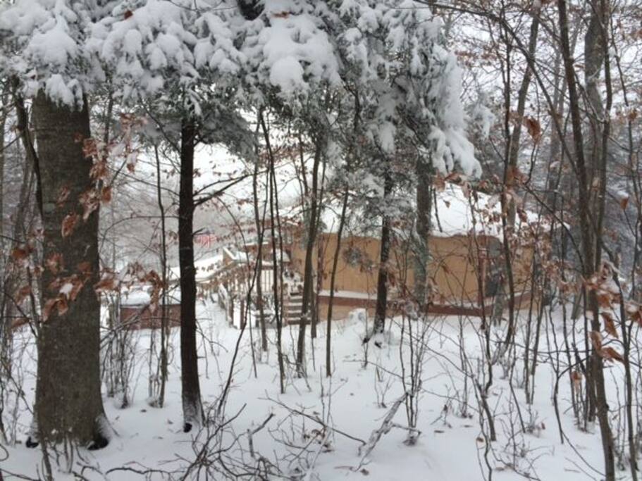 Winter look of the Back Yard!