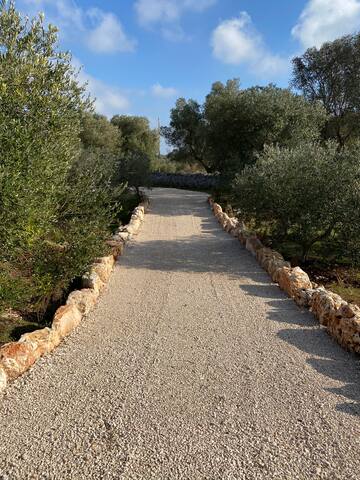 Trullo for 6 – Peace & Privacy at Trullobrullo gallery image 3