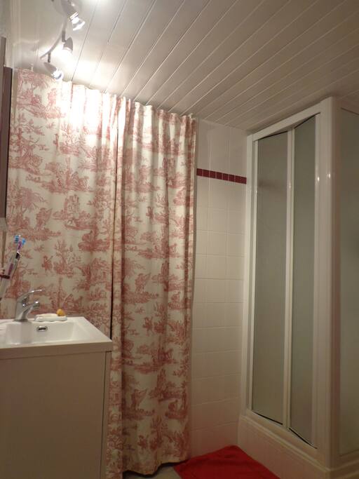 salle d'eau + wc