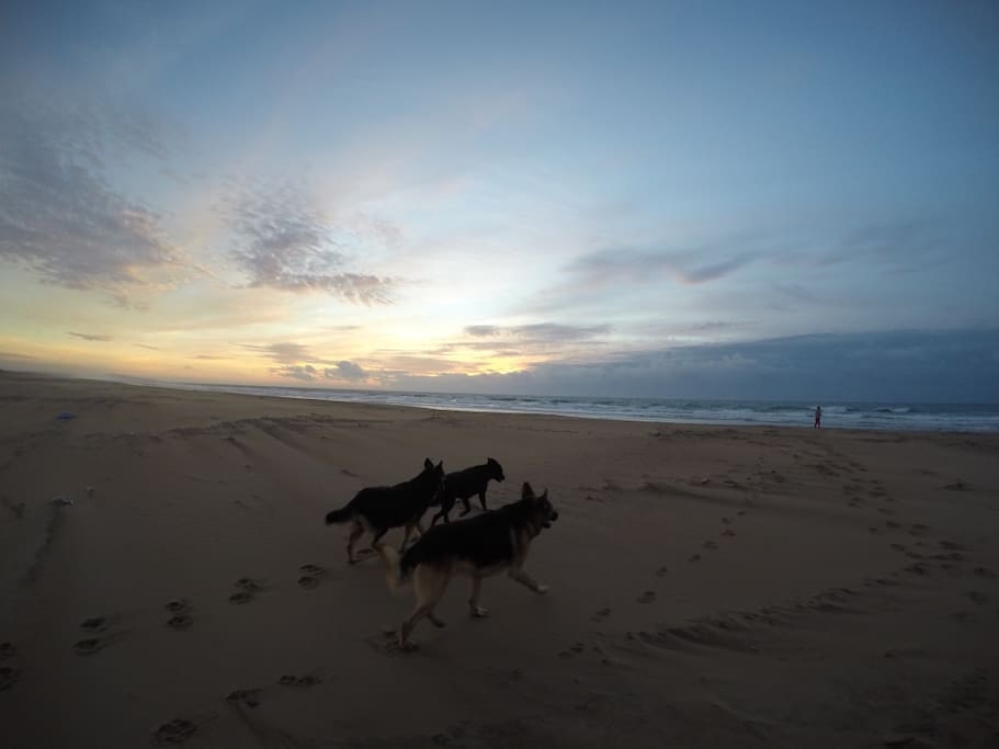 La playa enfrente del complejo