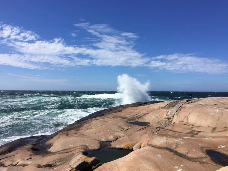 Havet
